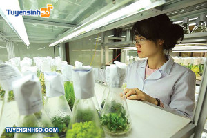 Ngành Công nghệ sinh học