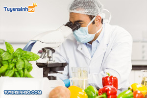 Ngành Công nghệ thực phẩm